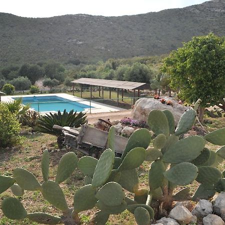 Agriturismo Timpa Del Sole Βίλα Νότο Εξωτερικό φωτογραφία