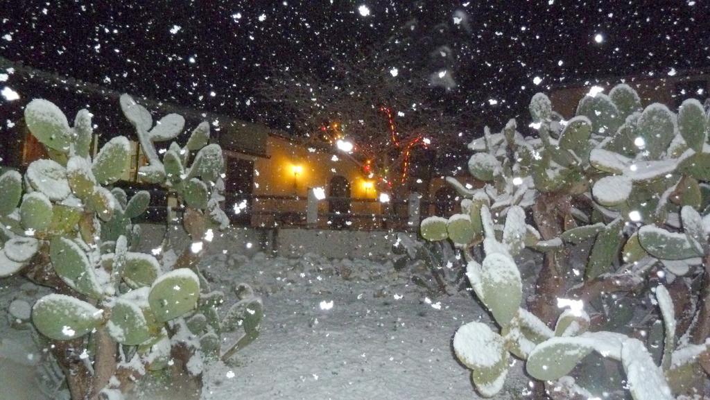 Agriturismo Timpa Del Sole Βίλα Νότο Εξωτερικό φωτογραφία