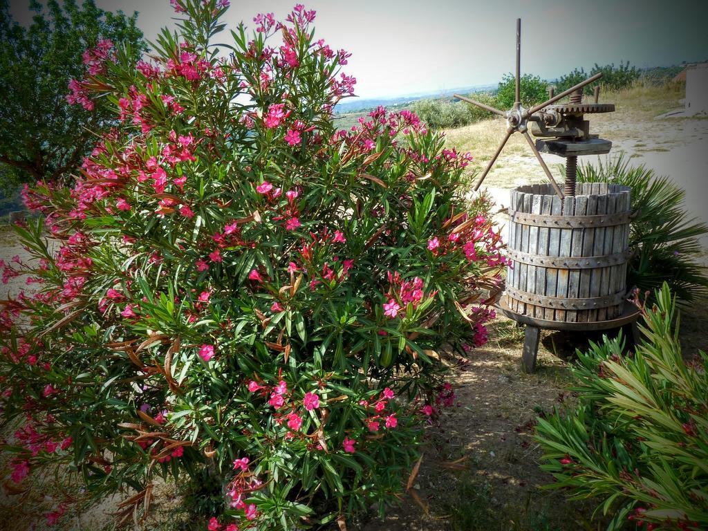 Agriturismo Timpa Del Sole Βίλα Νότο Εξωτερικό φωτογραφία